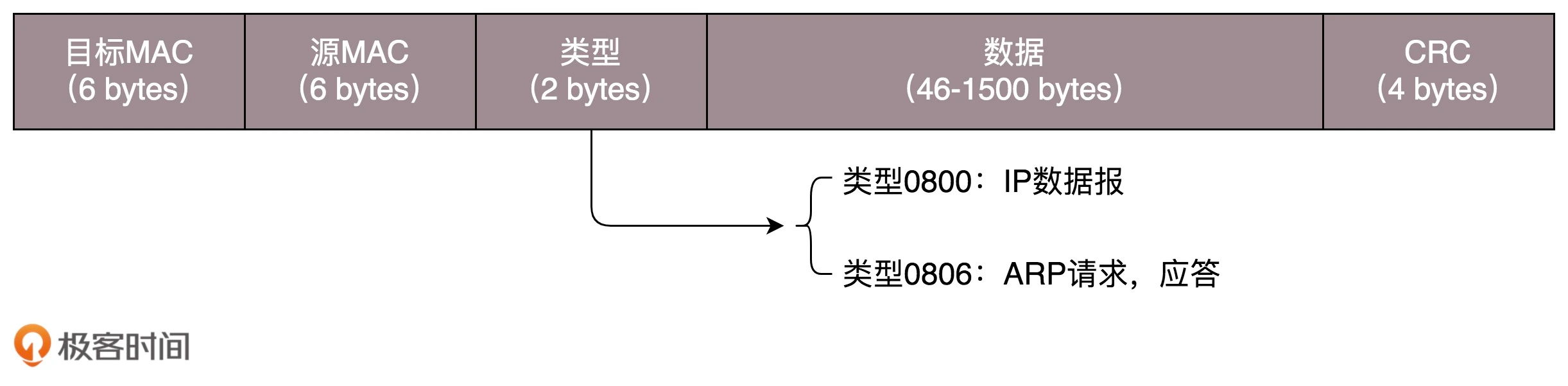 第二层的网络包格式